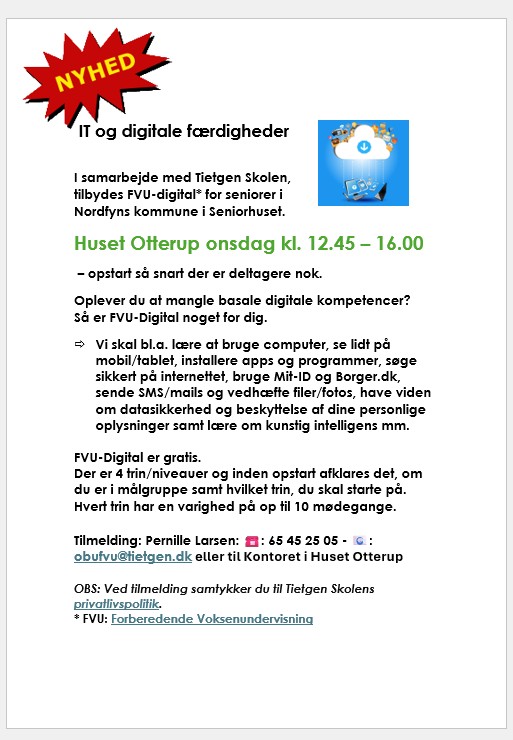 It og digital færdigheder